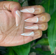 Nude Nails White Line Nail Art